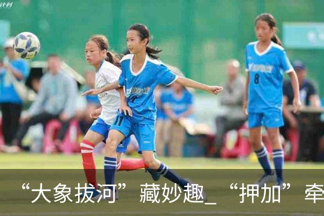 “大象拔河”藏妙趣 “押加”牵起民族情谊