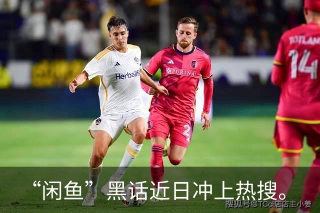 “闲鱼”黑话近日冲上热搜。