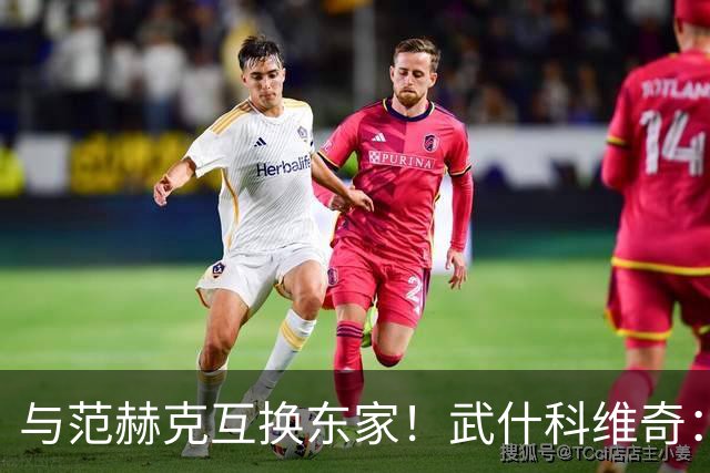 与范赫克互换东家！武什科维奇：我也不知道为什么热刺不想要我了
