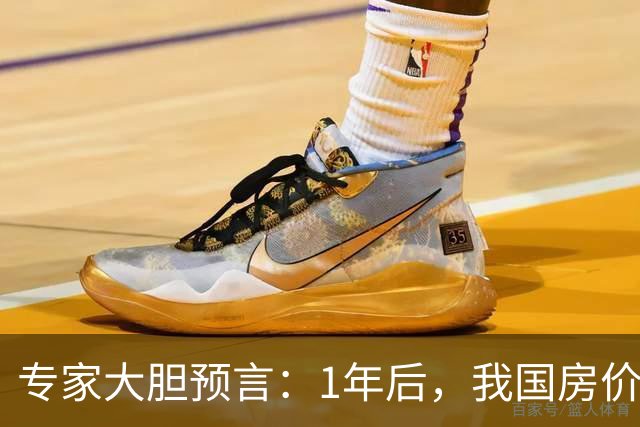 专家大胆预言：1年后，我国房价将会是现在的4-5倍！真的假的？