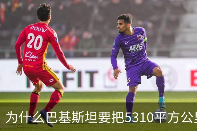 为什么巴基斯坦要把5310平方公里的土地主动让给中国，谜底很给力