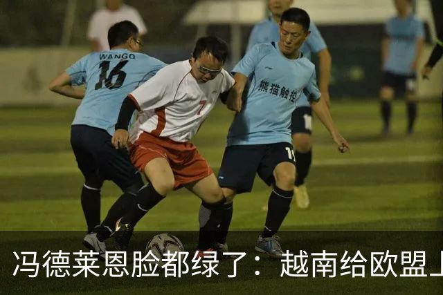 冯德莱恩脸都绿了：越南给欧盟上了一课：什么叫 “中国力量”！