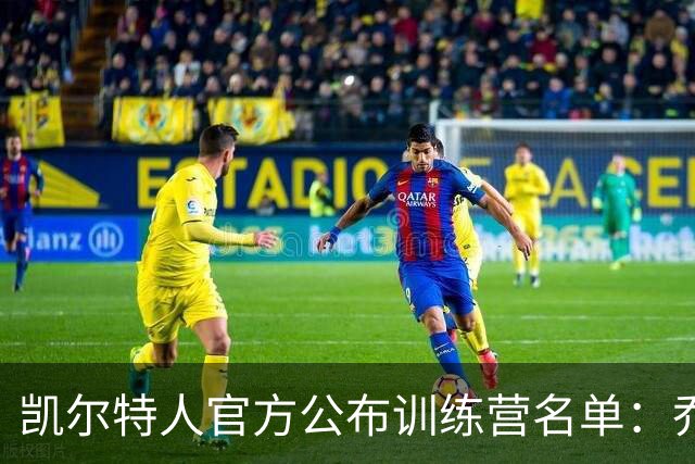 凯尔特人官方公布训练营名单：乔治、康利、米切罗等新援在列