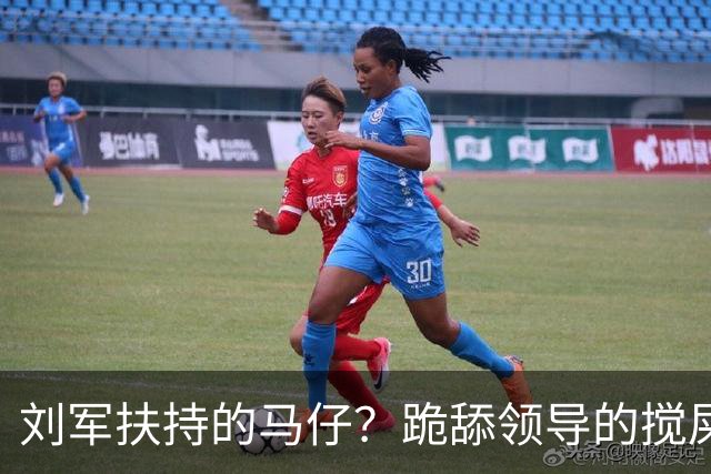 刘军扶持的马仔？跪舔领导的搅屎棍！W总把新江苏队搞的乌烟瘴气