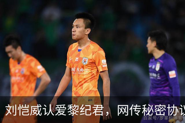 刘恺威认爱黎纪君，网传秘密协议「再婚女儿无条件交回杨幂」，刘丹罕回应