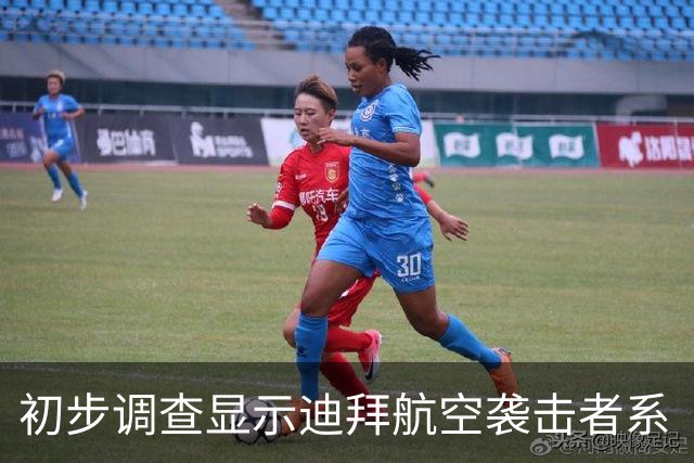 初步调查显示迪拜航空袭击者系“独狼式”作案，他原计划杀死机长，并驾驶客机“直接撞向”以色列机场航站楼