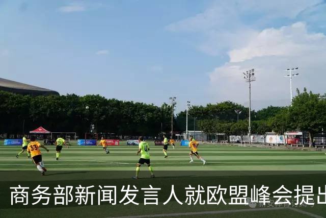 商务部新闻发言人就欧盟峰会提出对华“双轨”思路答记者问