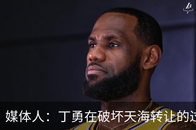 媒体人：丁勇在破坏天海转让的过程中曾拉刘奕下水