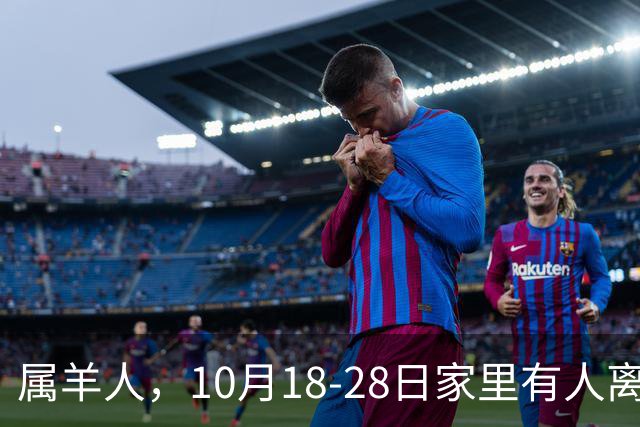 属羊人，10月18-28日家里有人离开，别哭！是老天帮你清除负担