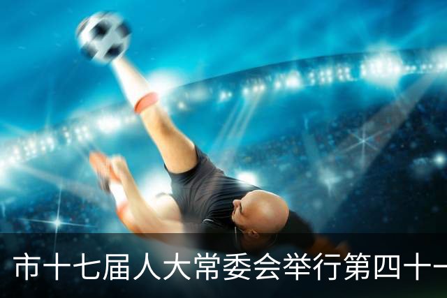 市十七届人大常委会举行第四十一次会议