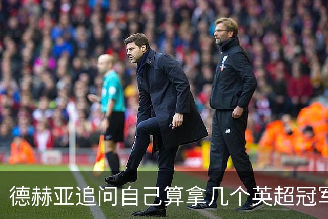 德赫亚追问自己算拿几个英超冠军，费迪南德称“又一块奖牌要进柜子”