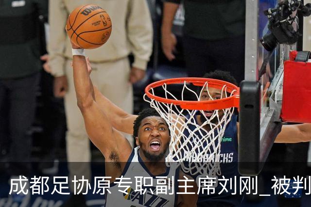 成都足协原专职副主席刘刚 被判8年并处罚金70万