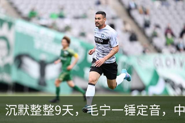 沉默整整9天，毛宁一锤定音，中美战机已交手，美方要见中国代表