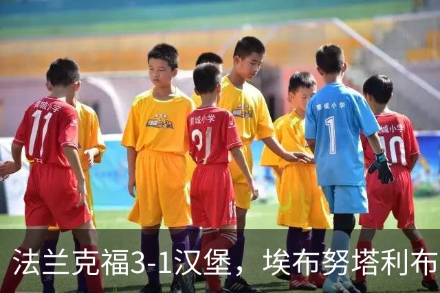 法兰克福3-1汉堡，埃布努塔利布破门，伯卡特1射1传