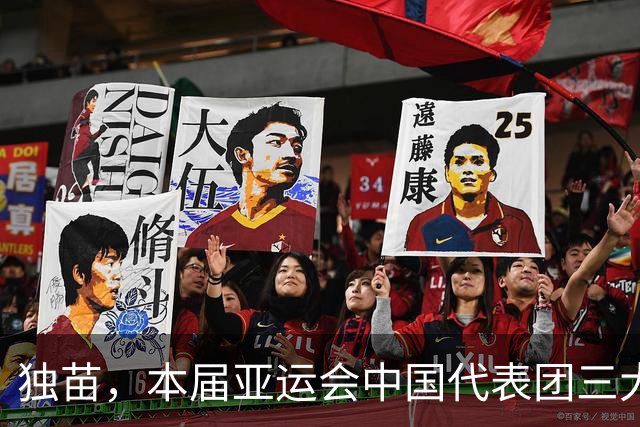 独苗，本届亚运会中国代表团三大球项目仅女排夺冠
