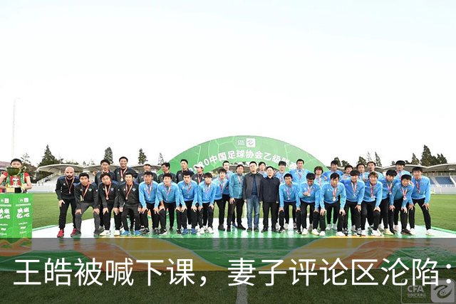 王皓被喊下课，妻子评论区沦陷：国乒看台什么时候变成了这样