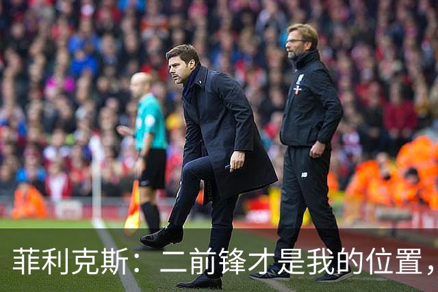 菲利克斯：二前锋才是我的位置，我和贡萨洛、C罗配合都很好