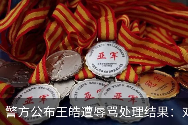 警方公布王皓遭辱骂处理结果：对3名情节较重者行拘 对17人批评教育
