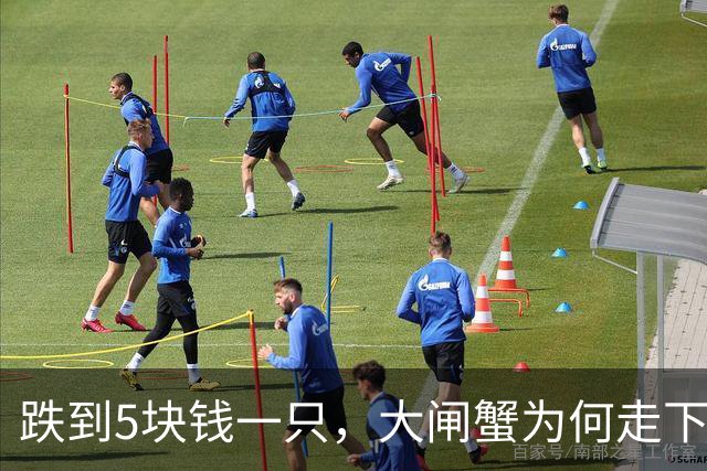 跌到5块钱一只，大闸蟹为何走下神坛？