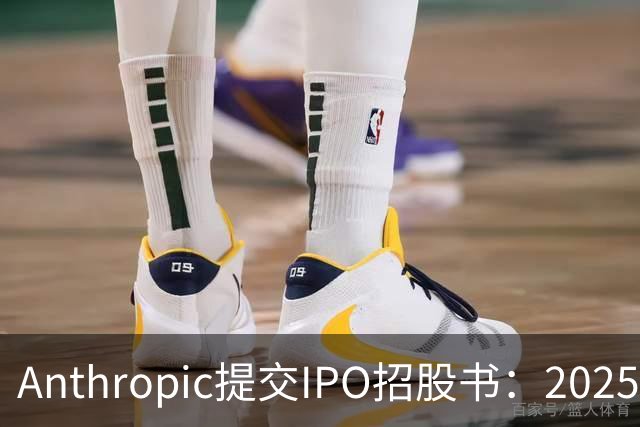 Anthropic提交IPO招股书：2025年营收增长12倍 净亏损420亿美元